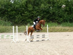 197667_10150929585183585_593989209_n_web